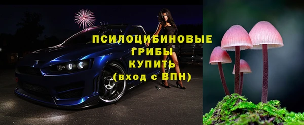 ГАЛЛЮЦИНОГЕННЫЕ ГРИБЫ Алексеевка