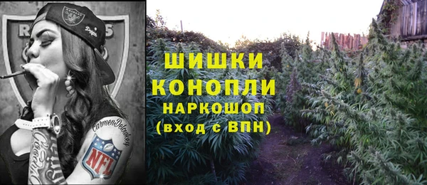 шишки Алексин