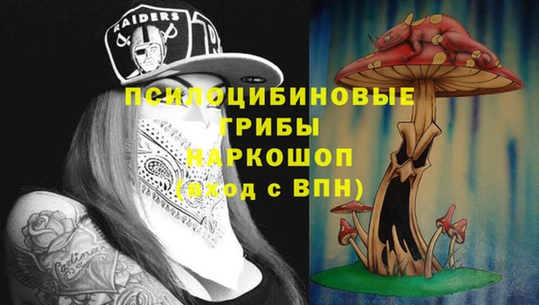 шишки Алексин