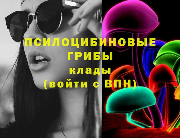 шишки Алексин