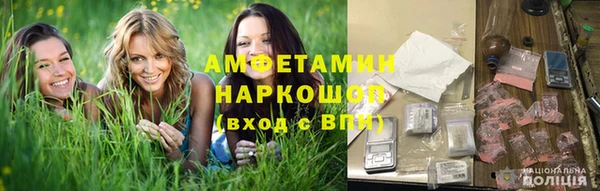 шишки Алексин
