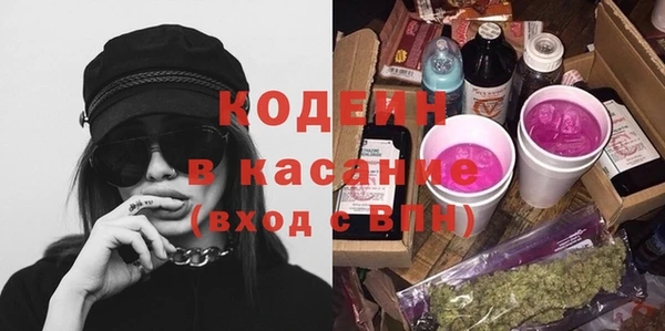 шишки Алексин