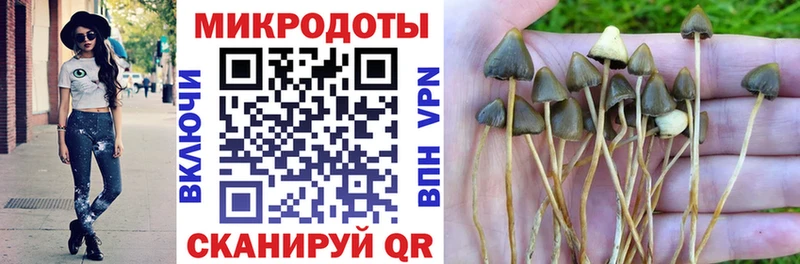 Галлюциногенные грибы Psilocybine cubensis  Микунь 