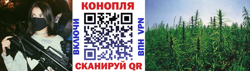 Канабис планчик  как найти   Микунь 